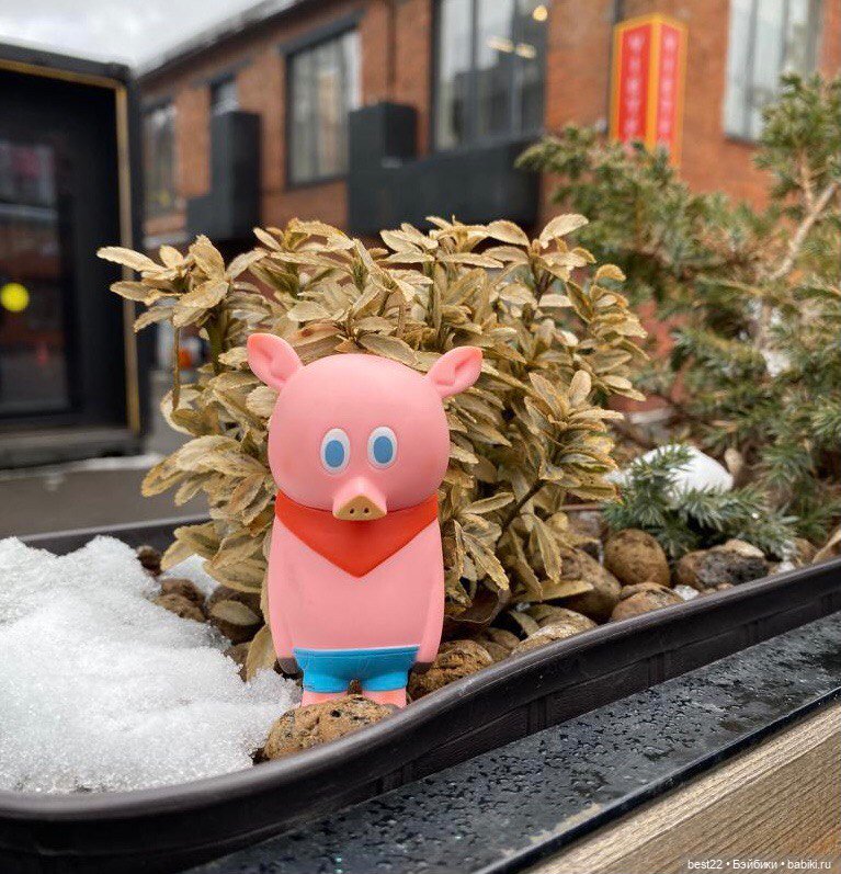 Поросенок Ву. Продолжаем гулять (фото 7)