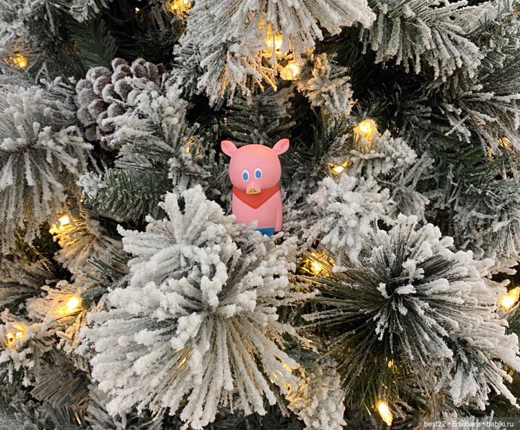 Поросенок Ву. Продолжаем гулять (фото 2)