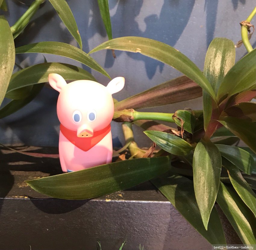 Поросенок Ву. Продолжаем гулять