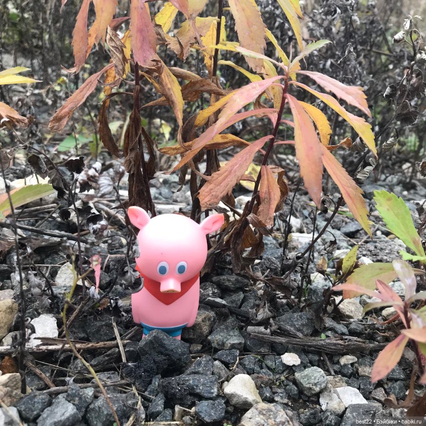 Поросенок Ву. Продолжаем гулять