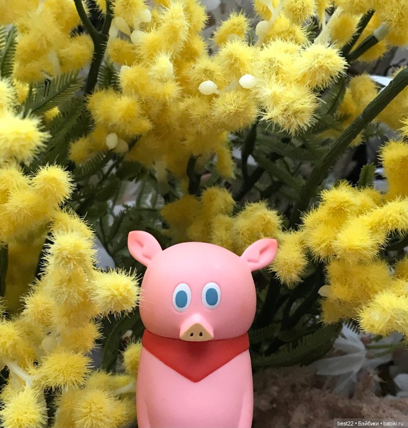 Поросенок Ву. Продолжаем гулять