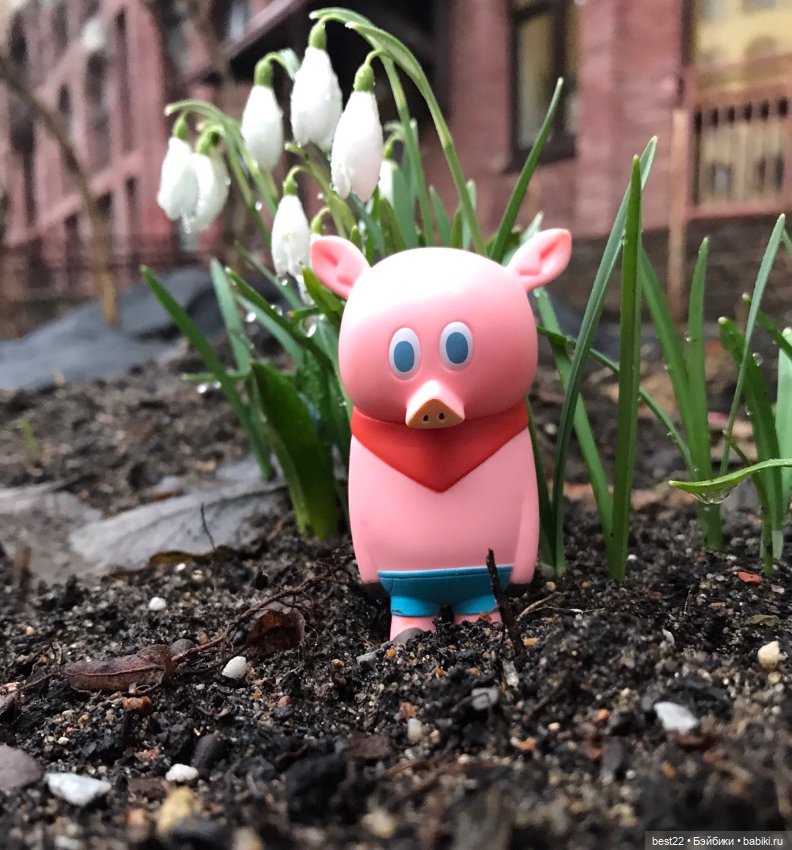 Поросенок Ву. Продолжаем гулять