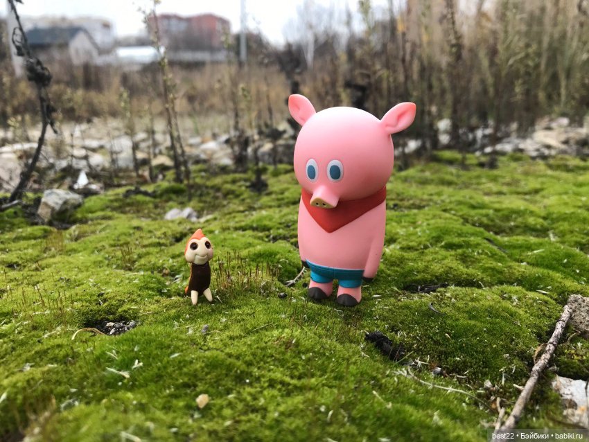 Поросенок Ву. Продолжаем гулять