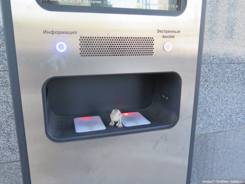 Катрин на Бельтейн — Куклы Monster High и Ever After High: G1