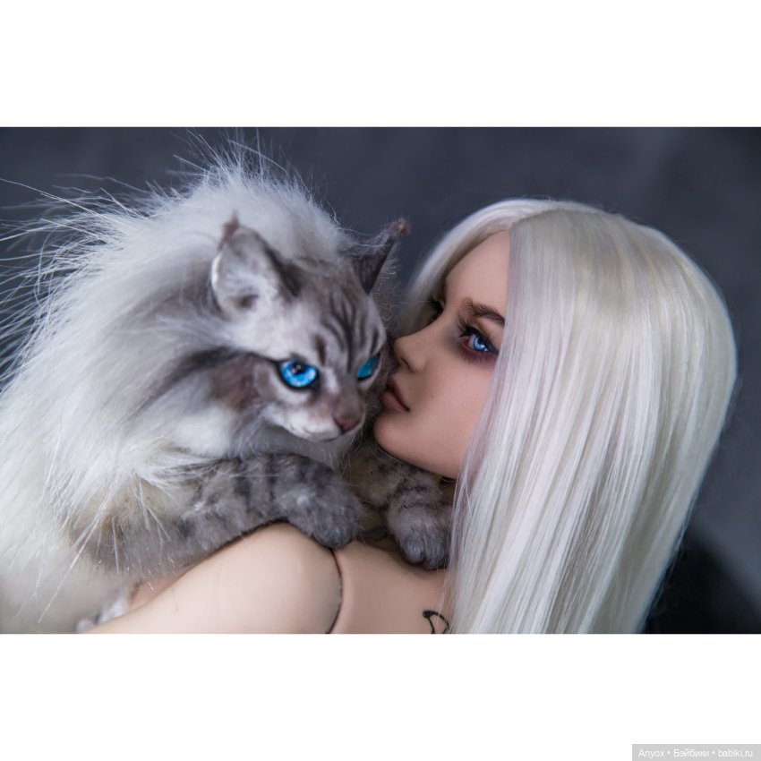 Диана и кот :D — Куклы Dollshe Craft (Доллше): BJD (БЖД) (фото 4)