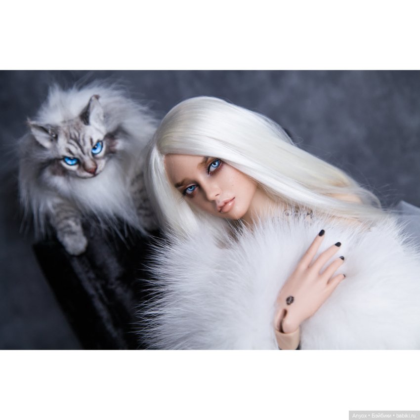 Диана и кот :D — Куклы Dollshe Craft (Доллше): BJD (БЖД)