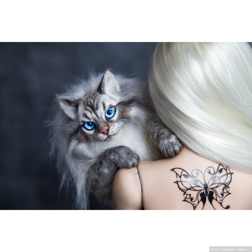 Диана и кот :D — Куклы Dollshe Craft (Доллше): BJD (БЖД) (фото 2)