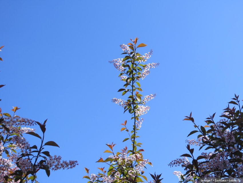 Бохо для Paola у реки — Куклы Paola Reina (Паола Рейна): новинки (фото 3)