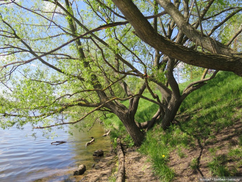 Бохо для Paola у реки — Куклы Paola Reina (Паола Рейна): новинки