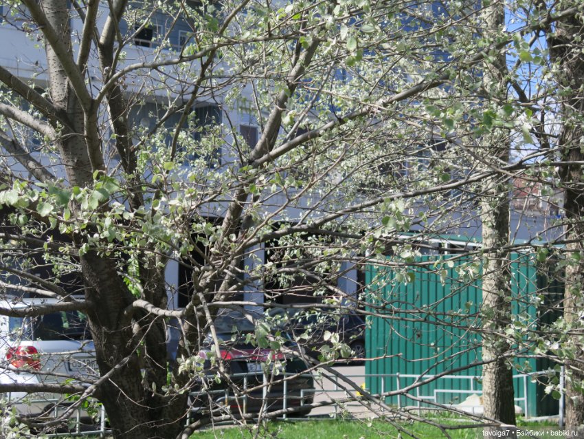 Бохо для Paola у реки — Куклы Paola Reina (Паола Рейна): новинки (фото 7)