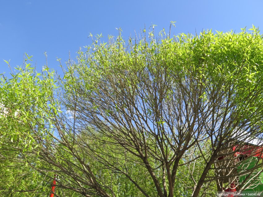 Бохо для Paola у реки — Куклы Paola Reina (Паола Рейна): новинки (фото 2)