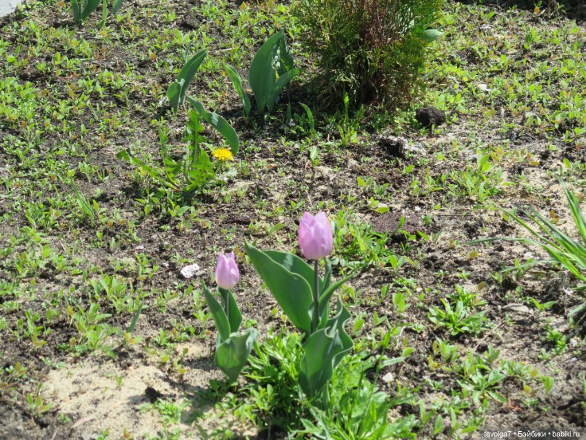 Бохо для Paola у реки — Куклы Paola Reina (Паола Рейна): новинки (фото 9)