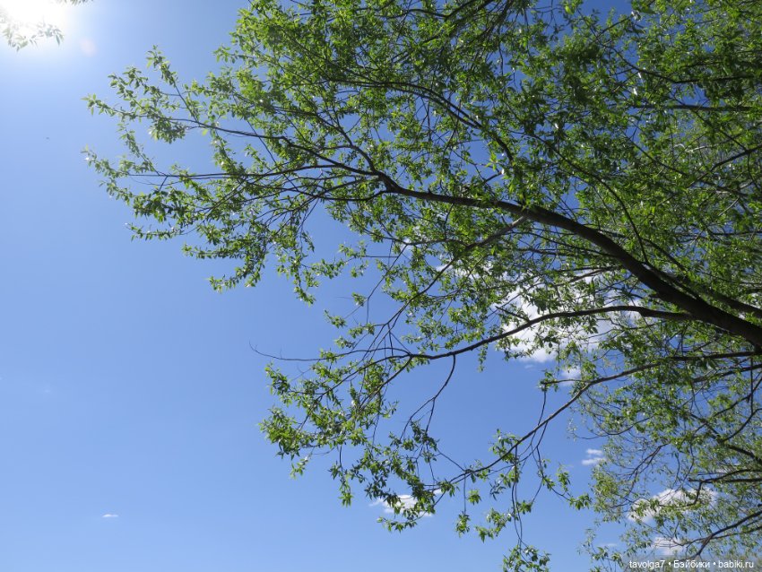 Бохо для Paola у реки — Куклы Paola Reina (Паола Рейна): новинки