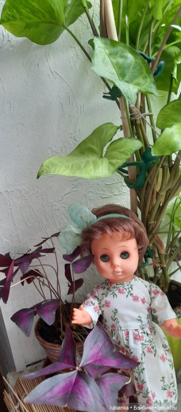 "Вот и встретились два одиночества..."👩‍❤️‍💋‍👩💞 (фото 2)