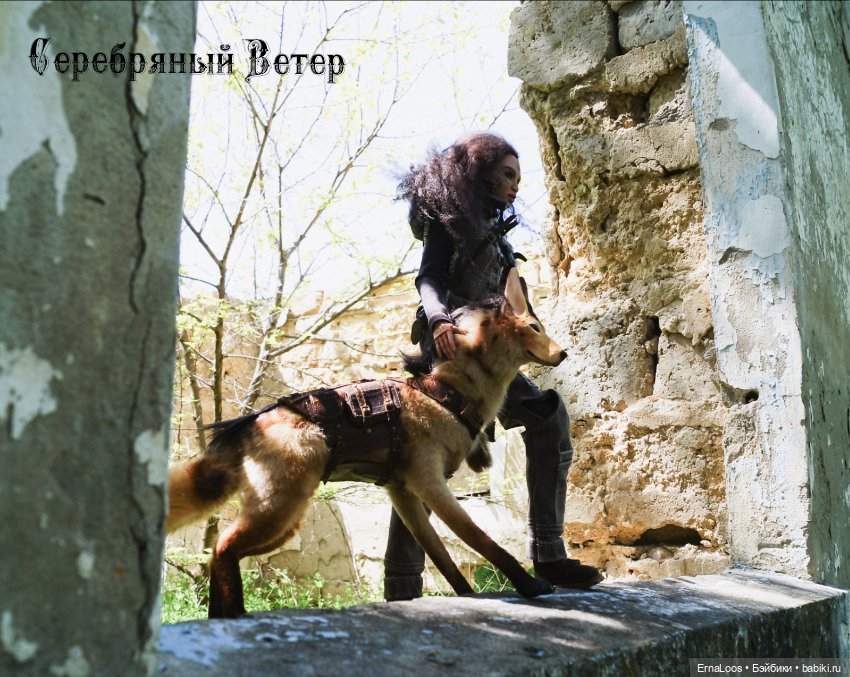 Гея и Зорг — Куклы Dart dolls (Анна Шиткина): российские BJD (БЖД) (фото 3)