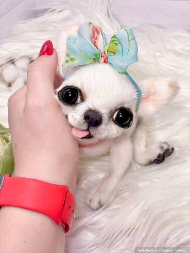 Марго 🎀 — Реалистичные игрушки и звери (Натюр): собаки