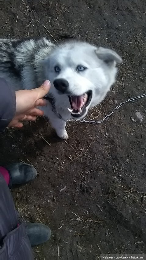 Зелёная планета — Текстильные игрушки и примитивы: кофейные