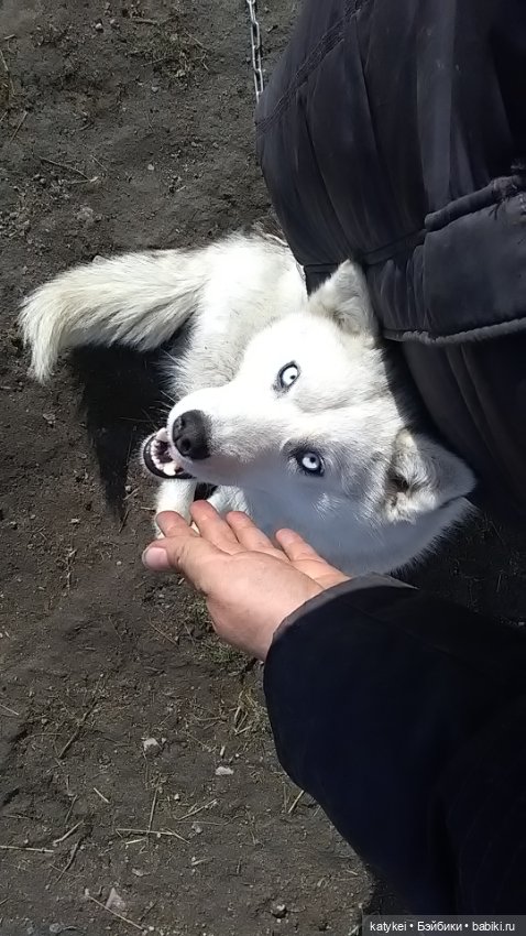 Зелёная планета — Текстильные игрушки и примитивы: кофейные