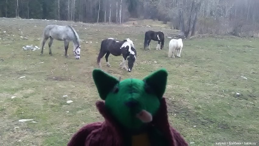 Зелёная планета — Текстильные игрушки и примитивы: кофейные