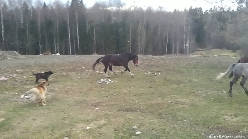 Зелёная планета — Текстильные игрушки и примитивы: кофейные