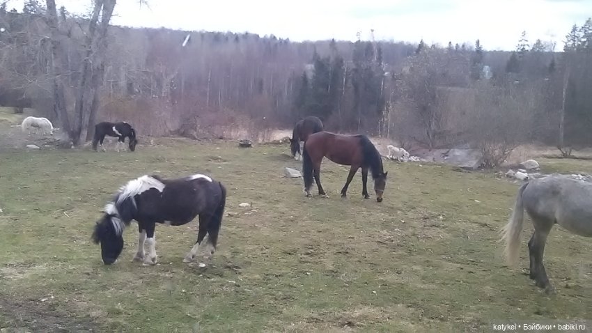 Зелёная планета — Текстильные игрушки и примитивы: кофейные