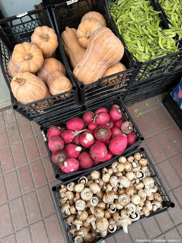 Fashion Dolls 503 — Туризм и путешествия: фотоотчеты из поездок