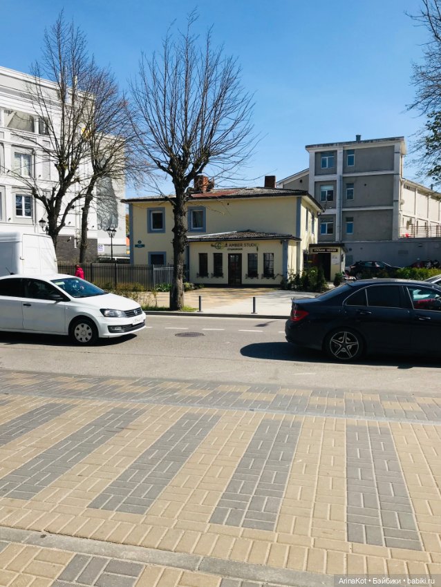 Запоздавшая прогулка в Зеленоградске и не только (фото 5)