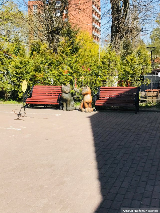 Запоздавшая прогулка в Зеленоградске и не только (фото 4)