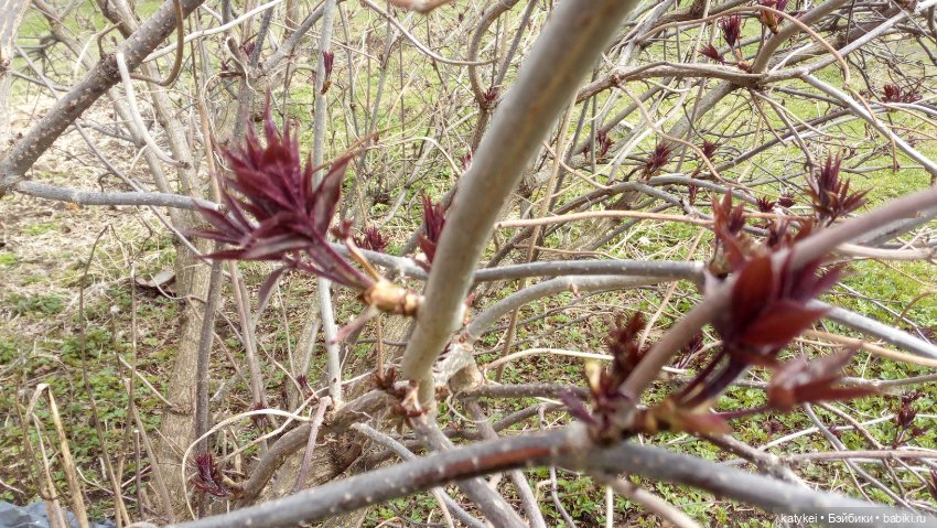 Хокку — Текстильные игрушки и примитивы: кофейные (фото 4)