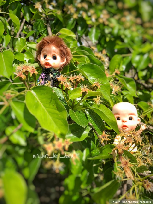 Фотосессия малышей обитсу11 на прогулке (фото 3)