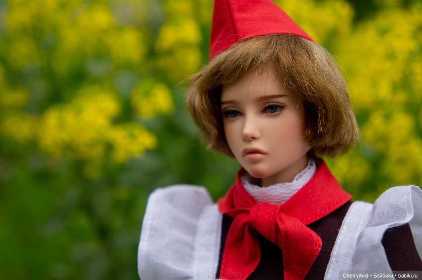 Прекрасное далёко… — Куклы Dollshe Craft (Доллше): BJD (БЖД) (фото 5)