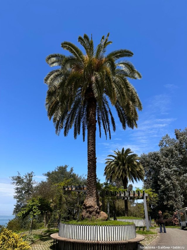 Fashion Dolls 504 — Туризм и путешествия: фотоотчеты из поездок (фото 9)