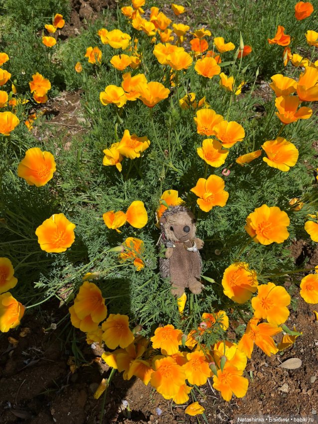 Fashion Dolls 504 — Туризм и путешествия: фотоотчеты из поездок