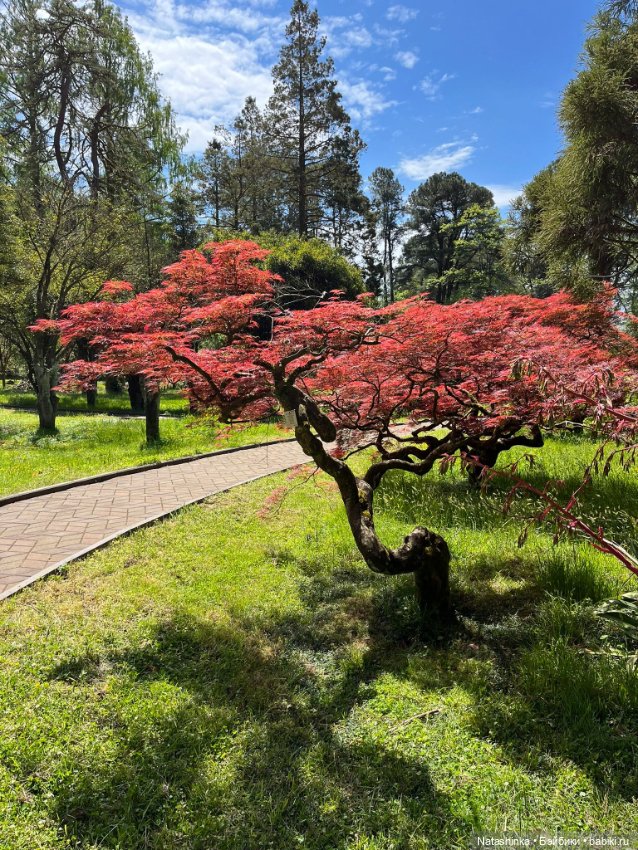 Fashion Dolls 504 — Туризм и путешествия: фотоотчеты из поездок