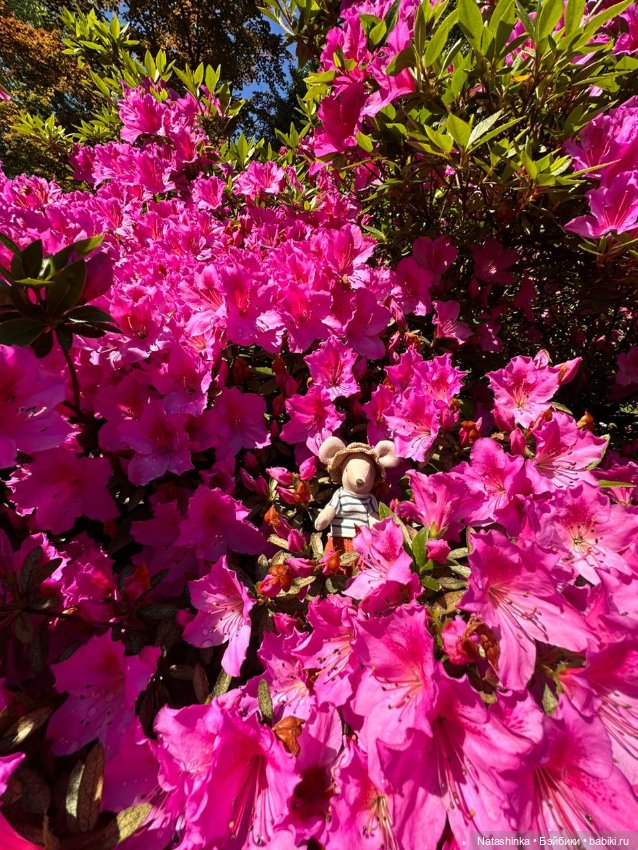 Fashion Dolls 504 — Туризм и путешествия: фотоотчеты из поездок (фото 7)