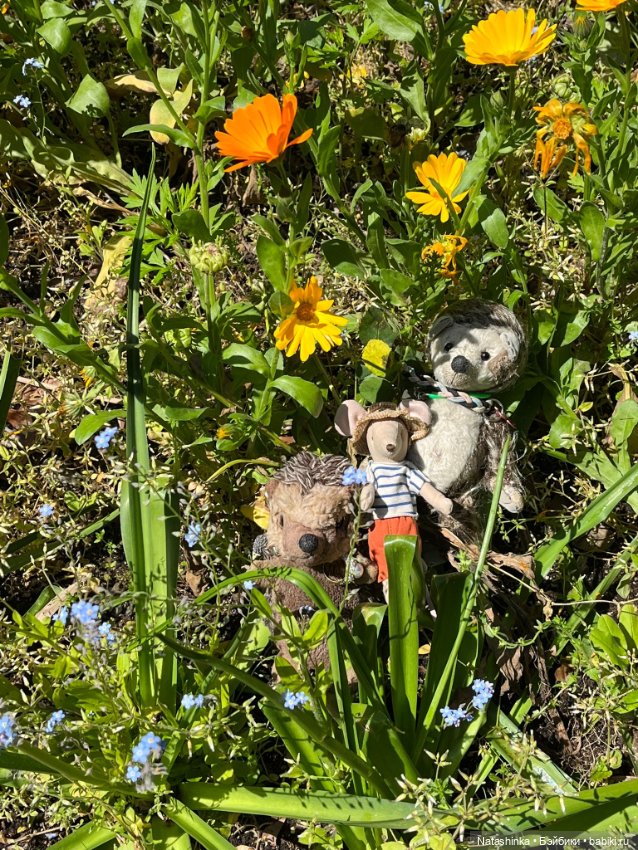 Fashion Dolls 504 — Туризм и путешествия: фотоотчеты из поездок