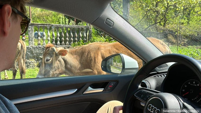 Fashion Dolls 504 — Туризм и путешествия: фотоотчеты из поездок