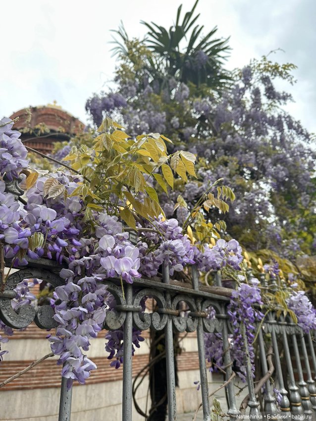 Fashion Dolls 504 — Туризм и путешествия: фотоотчеты из поездок (фото 10)