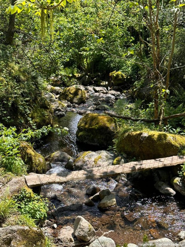 Fashion Dolls 504 — Туризм и путешествия: фотоотчеты из поездок