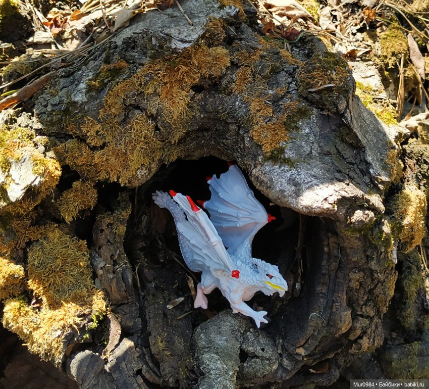 Мои новенькие жители — Аналоги Барби и куклы 1/6: клоны 90 (фото 9)