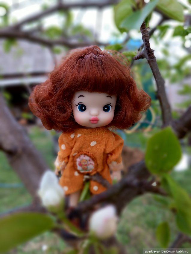 Садово - огородное... Доминика