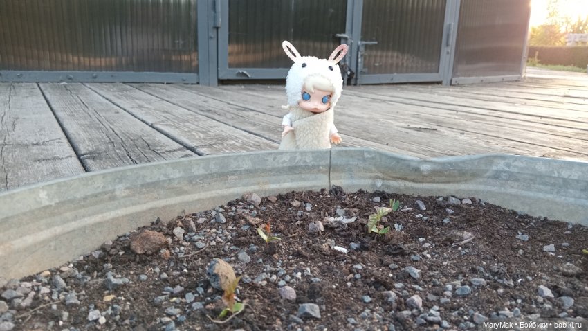 Достали шубу в мае — Разные шарнирные куклы (не БЖД): редкие (фото 10)