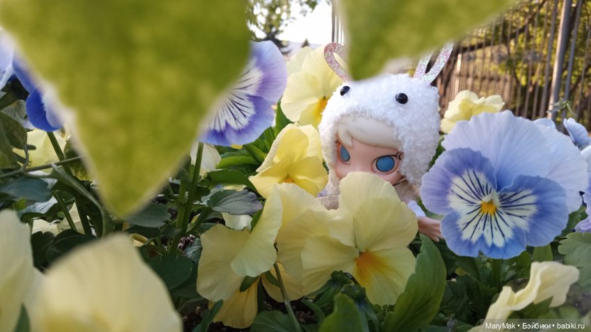 Достали шубу в мае — Разные шарнирные куклы (не БЖД): редкие (фото 2)