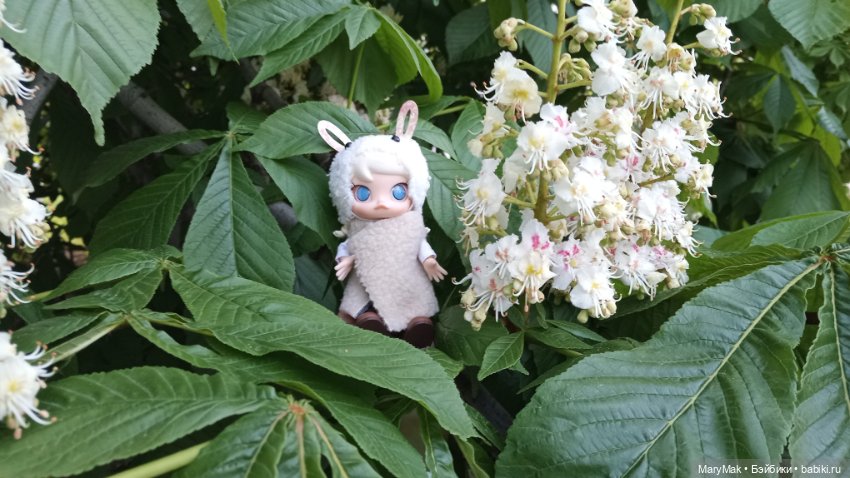 Достали шубу в мае — Разные шарнирные куклы (не БЖД): редкие