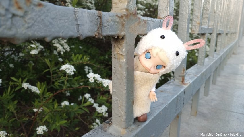 Достали шубу в мае — Разные шарнирные куклы (не БЖД): редкие (фото 5)