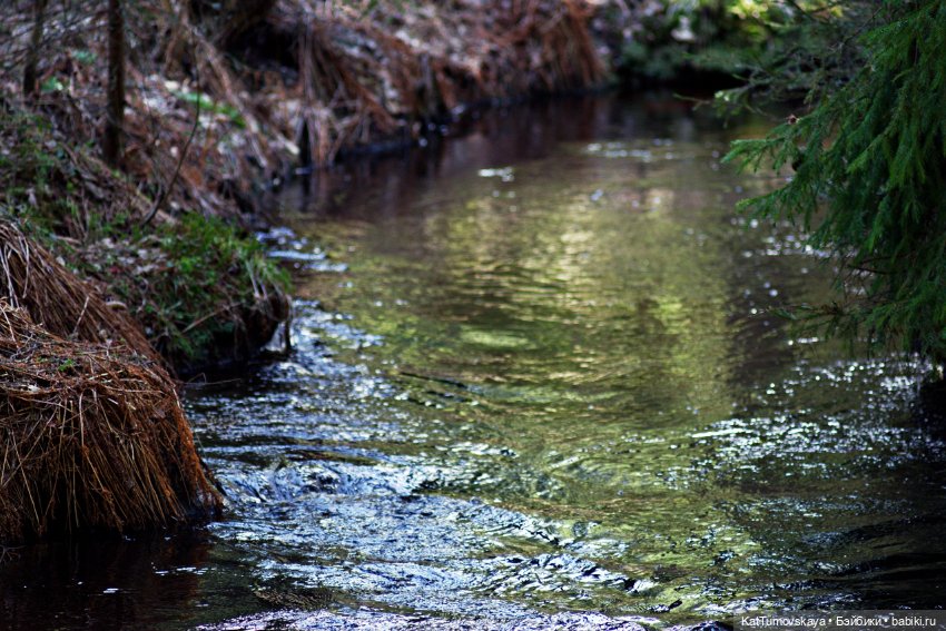 Прогулка (олененок Zelfs от австралийской компании Moose) (фото 5)