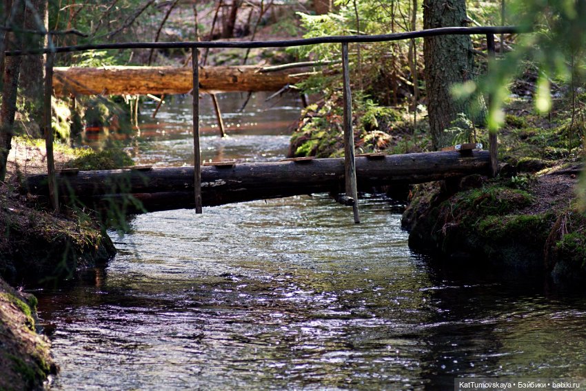 Прогулка (олененок Zelfs от австралийской компании Moose) (фото 2)