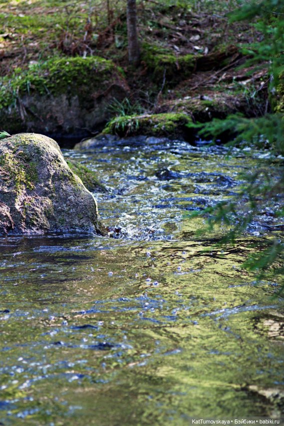 Прогулка (олененок Zelfs от австралийской компании Moose) (фото 4)