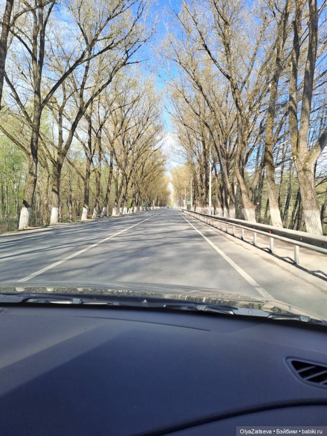 Галопом по Новгородской области. Кит лукс