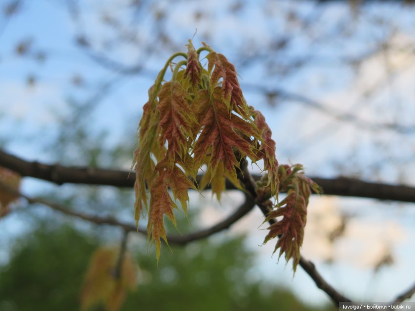 Ханами для Алёнка "Мир" — Советские винтажные куклы (СССР): Ленигрушка